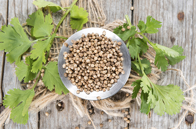 Coriander Seeds