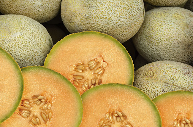 melon cantaloupe