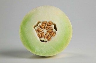 melon honeydew