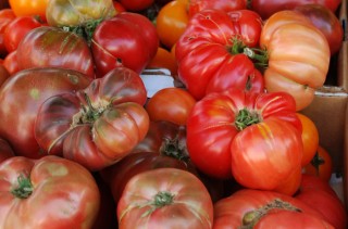 tomatoes heirloom